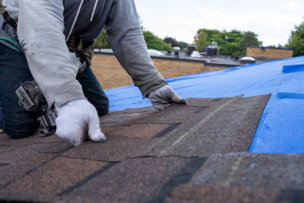 Roof Coating Services in Shorewood, WI