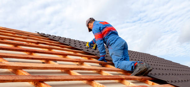 Best Asphalt Shingle Roofing  in Shorewood, WI