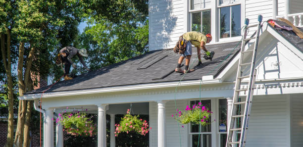 Metal Roofing